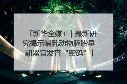 新华全媒+｜最新研究揭示哺乳动物胚胎早期器官发育“密码”