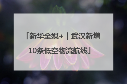 新华全媒+｜武汉新增10条低空物流航线