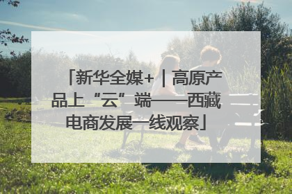 新华全媒+｜高原产品上“云”端——西藏电商发展一线观察