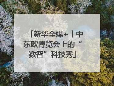 新华全媒+丨中东欧博览会上的“数智”科技秀