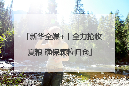 新华全媒+丨全力抢收夏粮 确保颗粒归仓