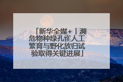 新华全媒+丨濒危物种绿孔雀人工繁育与野化放归试验取得关键进展