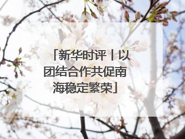 新华时评丨以团结合作共促南海稳定繁荣
