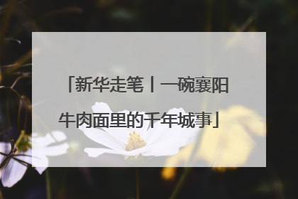 新华走笔丨一碗襄阳牛肉面里的千年城事