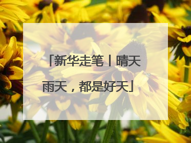 新华走笔丨晴天雨天，都是好天