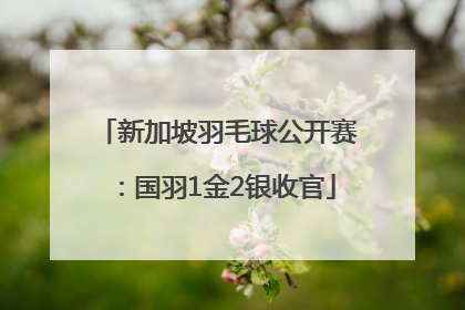 新加坡羽毛球公开赛：国羽1金2银收官