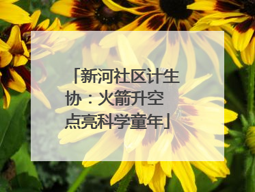 新河社区计生协：火箭升空 点亮科学童年