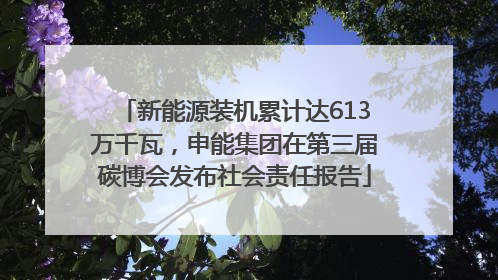 新能源装机累计达613万千瓦，申能集团在第三届碳博会发布社会责任报告