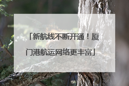 新航线不断开通！厦门港航运网络更丰富