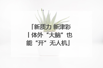 新质力 新津彩丨体外“大脑”也能“开”无人机