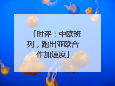 时评：中欧班列，跑出亚欧合作加速度