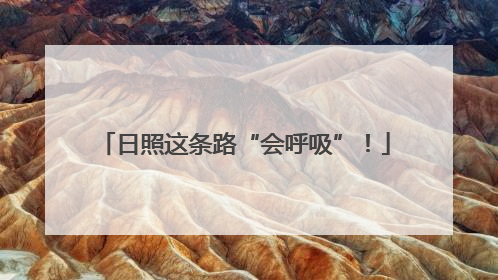 日照这条路“会呼吸”！