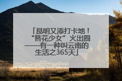 昆明又添打卡地！“簪花少女”火出圈——有一种叫云南的生活之365天