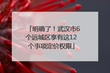 明确了！武汉市6个远城区享有这12个事项定价权限