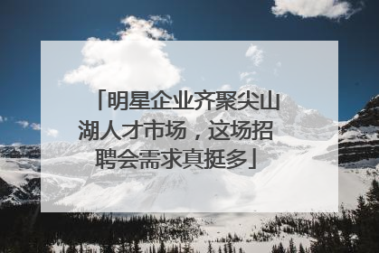 明星企业齐聚尖山湖人才市场，这场招聘会需求真挺多