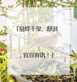 易烊千玺、舒淇，官宣喜讯！