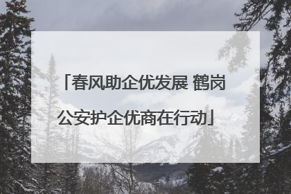 春风助企优发展 鹤岗公安护企优商在行动