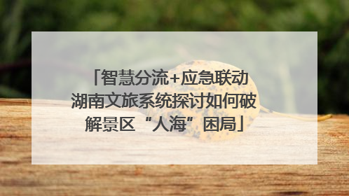 智慧分流+应急联动 湖南文旅系统探讨如何破解景区“人海”困局