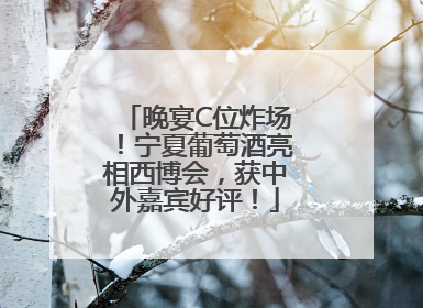 晚宴C位炸场！宁夏葡萄酒亮相西博会，获中外嘉宾好评！