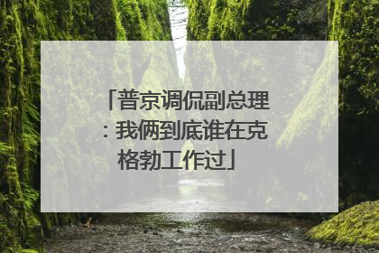 普京调侃副总理：我俩到底谁在克格勃工作过
