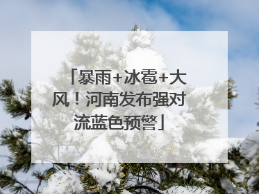 暴雨+冰雹+大风！河南发布强对流蓝色预警