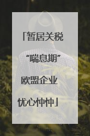 暂居关税“喘息期” 欧盟企业忧心忡忡