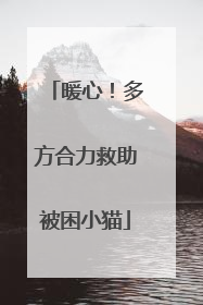 暖心！多方合力救助被困小猫
