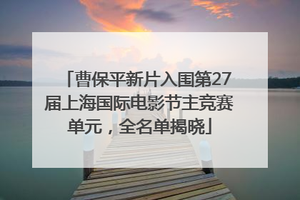 曹保平新片入围第27届上海国际电影节主竞赛单元，全名单揭晓