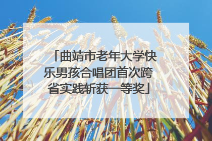 曲靖市老年大学快乐男孩合唱团首次跨省实践斩获一等奖