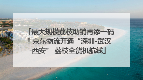 最大规模荔枝助销再添一码！京东物流开通“深圳-武汉-西安” 荔枝全货机航线
