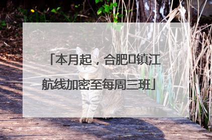 本月起，合肥⇋镇江航线加密至每周三班