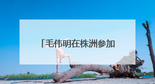毛伟明在株洲参加省人大代表小组调研北斗产业主题活动