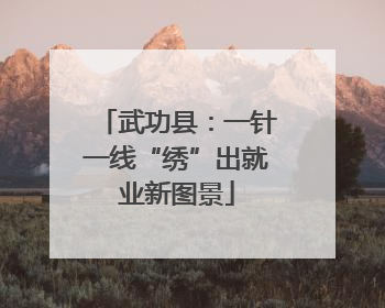 武功县：一针一线“绣”出就业新图景