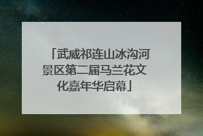 武威祁连山冰沟河景区第二届马兰花文化嘉年华启幕