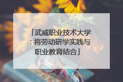 武威职业技术大学：将劳动研学实践与职业教育结合