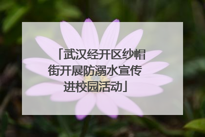 武汉经开区纱帽街开展防溺水宣传进校园活动