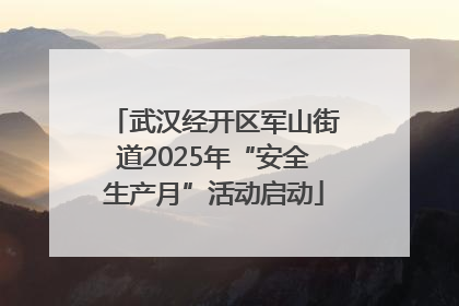 武汉经开区军山街道2025年“安全生产月”活动启动