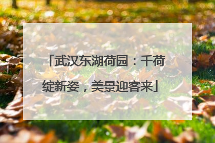 武汉东湖荷园：千荷绽新姿，美景迎客来