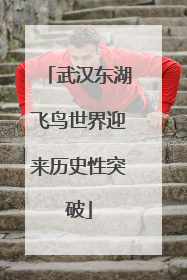 武汉东湖飞鸟世界迎来历史性突破