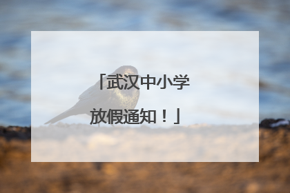 武汉中小学放假通知！