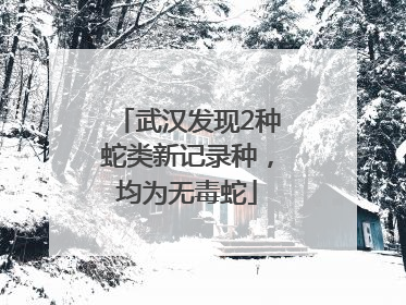 武汉发现2种蛇类新记录种，均为无毒蛇
