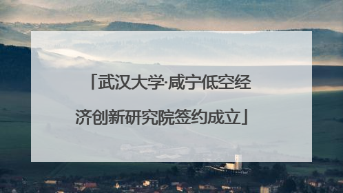 武汉大学·咸宁低空经济创新研究院签约成立