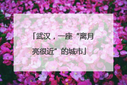 武汉，一座“离月亮很近”的城市