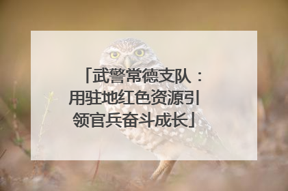 武警常德支队：用驻地红色资源引领官兵奋斗成长