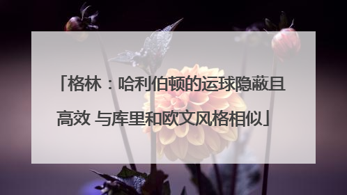 格林：哈利伯顿的运球隐蔽且高效 与库里和欧文风格相似