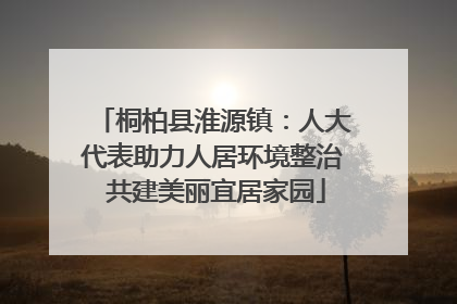 桐柏县淮源镇：人大代表助力人居环境整治 共建美丽宜居家园