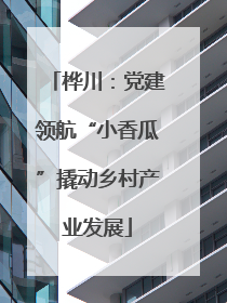 桦川：党建领航“小香瓜”撬动乡村产业发展