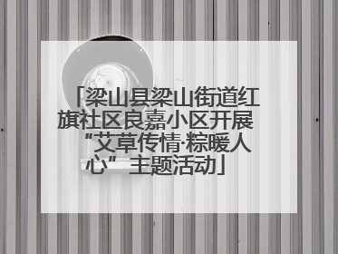 梁山县梁山街道红旗社区良嘉小区开展“艾草传情·粽暖人心”主题活动