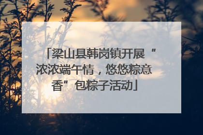 梁山县韩岗镇开展“浓浓端午情，悠悠粽意香”包粽子活动