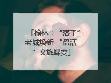 榆林：“落子”老城焕新 “盘活”文旅蝶变